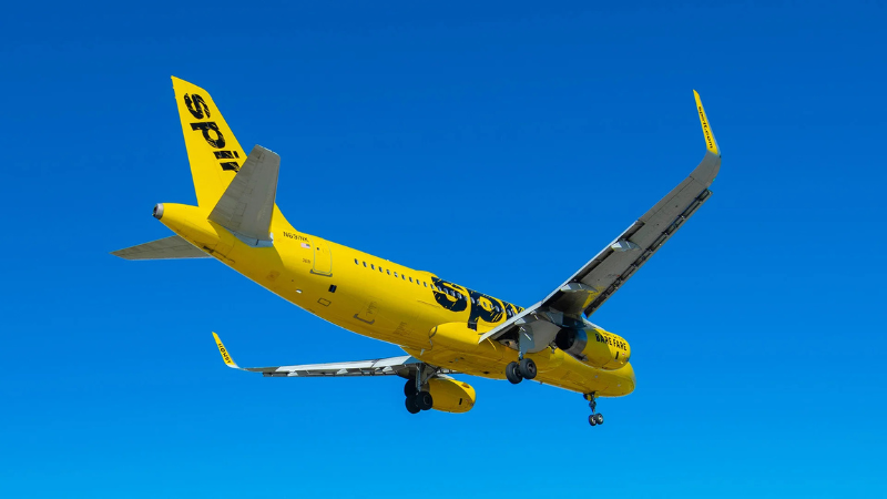 Google vs Micro1 Why Spirit Airlines’ Data Is Worth Millions
