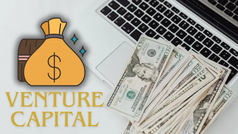 Venture Capital