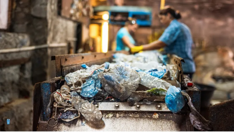 Plastic Waste