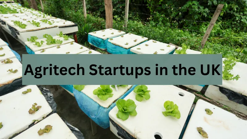 Top 10 Agritech Startups in the UK to Watch in 2026